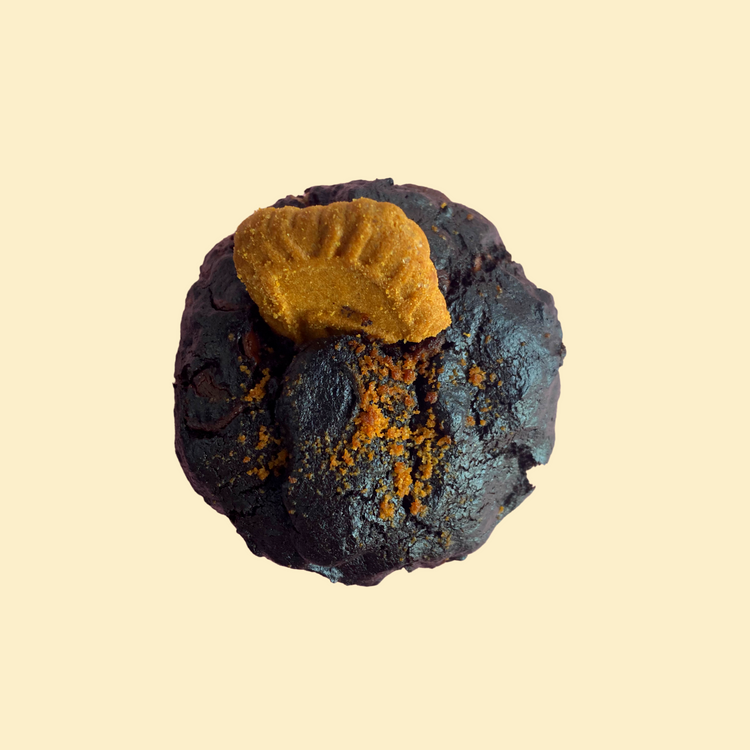 Dark Cocoa Speculoos Cookie