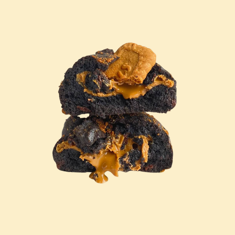 Dark Cocoa Speculoos Cookie